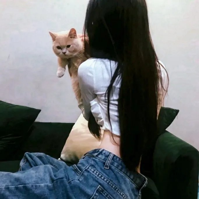 战长沙