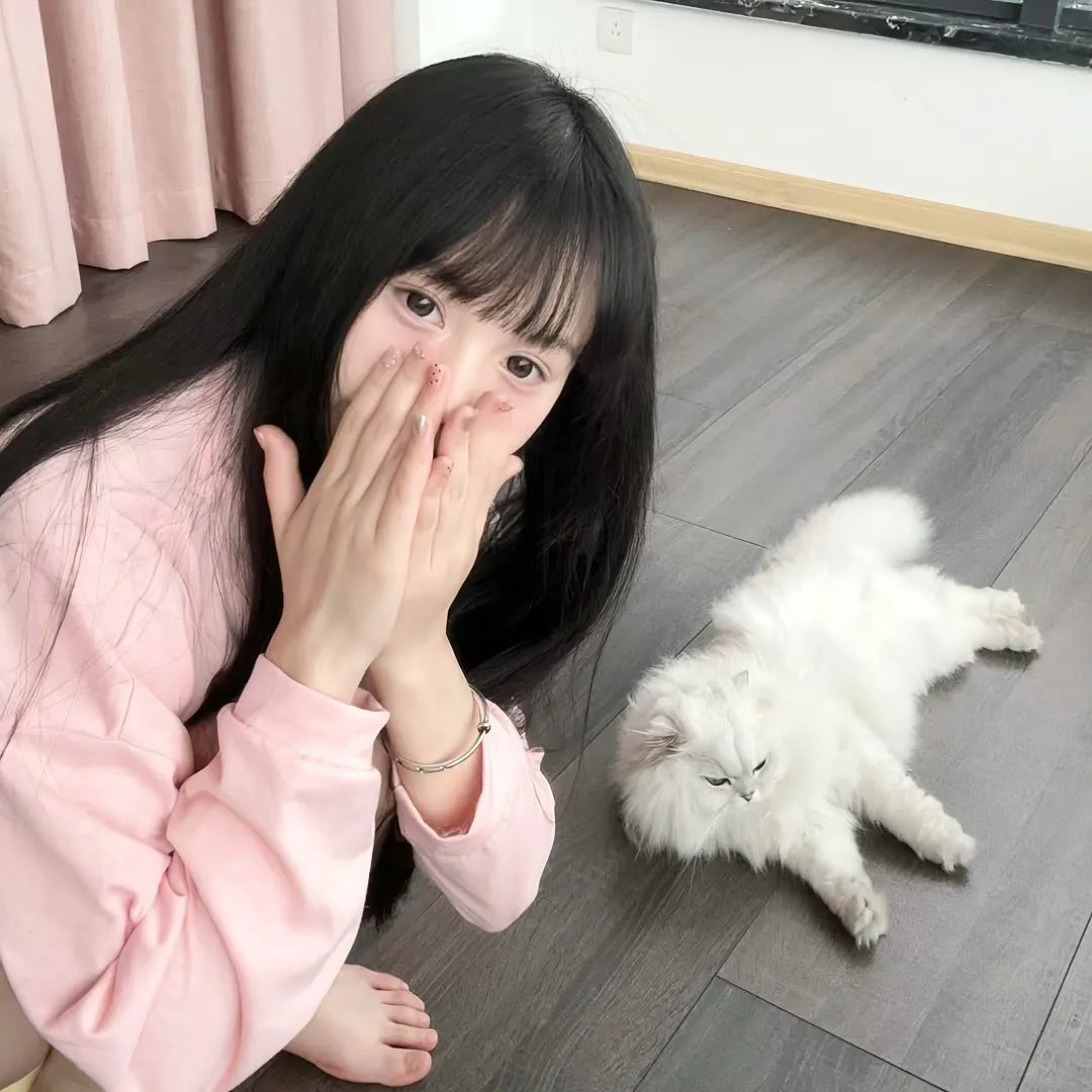 蚁哥正传